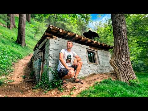 Видео: КАМЕННЫЙ ДОМ сильно изменился - РЫЖАЯ тащит | САЛАТ ШАУРМА 3 серия