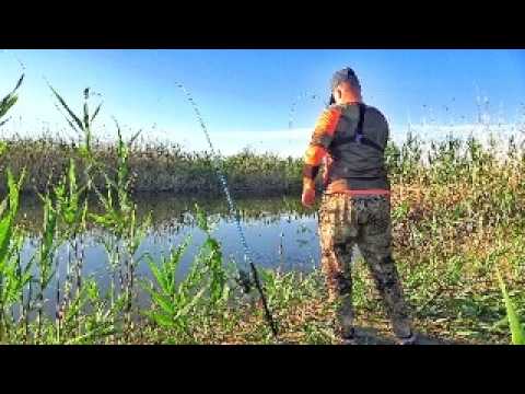 Видео: ЗАБРАЛСЯ В РЕАЛЬНУЮ ГЛУШЬ! ПОПАЛ НА НАШЕСТВИЕ САРАНЧИ! Рыбалка на донки.