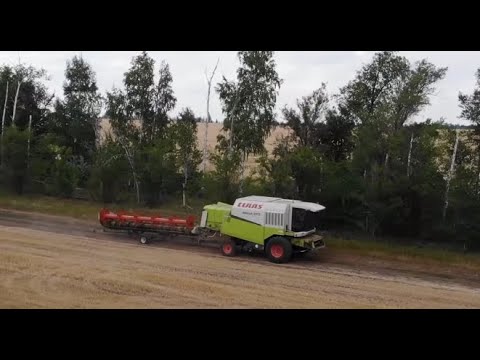 Видео: Часть вторая. Комбайн CLAAS. Продолжаем молотить пшеницу. Поломки комбайна.