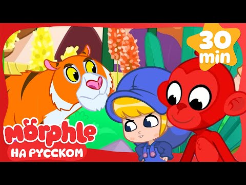 Видео: Время животных!🔴Морфл и волшебные питомцы🔴мультики для детей
