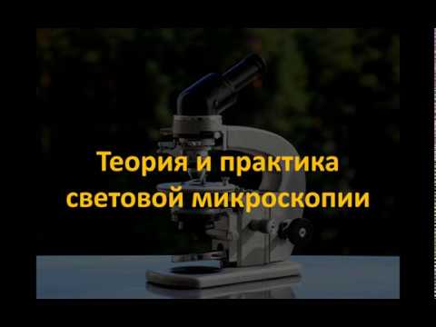 Видео: Теория световой микроскопии. Часть 4/4