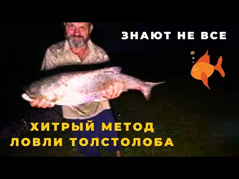 Видео: Об этом простом  способе ловли толстолоба знают не все