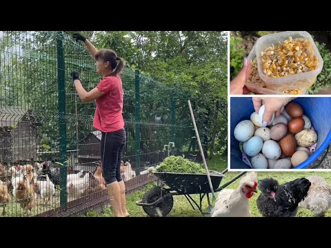 Видео: КАК ИСПОЛЬЗОВАТЬ ДАЧУ для СОДЕРЖАНИЯ КУР и ОГОРОДА