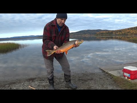 Видео: Отличная осенняя рыбалка.Аляска.