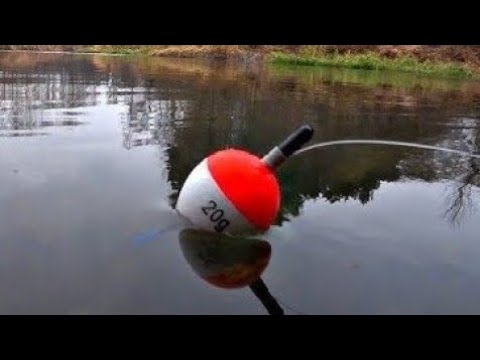 Видео: ПОПАЛ НА ЖОР ЩУКИ!!РЫБАЛКА НА ПОПЛАВОК 2025.РЫБАЛКА НА ЖИВЦА ОСЕНЬЮ.
