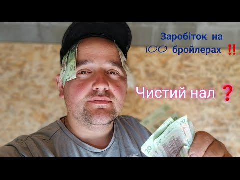 Видео: Собівартість бройлера в 2025 році ‼️ Як стати мільйонером ‼️ 