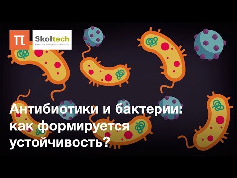 Видео: Антибиотики и бактерии: как формируется устойчивость