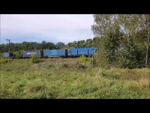 Видео: короткая вылазка к пл. Осенка БМО 17.09.25