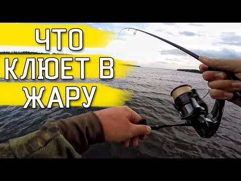 Видео: ОХОТА ЗА ХИЩНИКОМ В ЛЕТНЮЮ ЖАРУ! Рыбалка на спиннинг 2019
