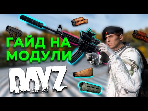 Видео: ПОДРОБНЫЙ ГАЙД НА МОДУЛИ В DAYZ 1.24