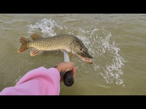 Видео: Кааак начало сразу клевать!