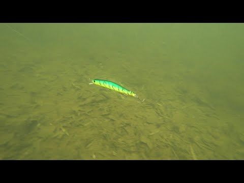 Видео: Игра ZipBaits Orbit 110SP. Подводные съемки. Underwater