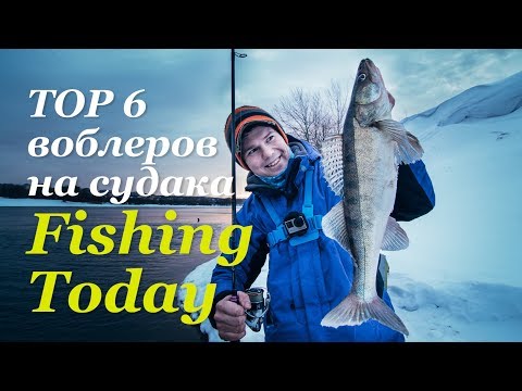 Видео: ТОП-6 воблеров на судака. Капризная щука. Бритье перед рыбалкой - Fishing Today