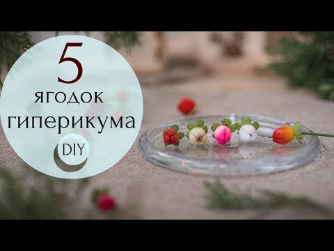 Видео: 5 ягодок гиперикума из полимерной глины