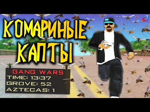 Видео: КОМАРИНЫЕ КАПТЫ