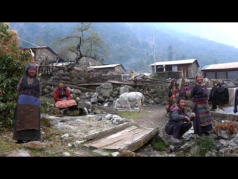 Видео: Жизнь в самых высокогорных деревнях Непала | Документальный фильм о регионе Манаслу