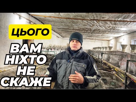 Видео: Як відрізнити ГЕМ від ПАСТЕРЕЛЬОЗУ