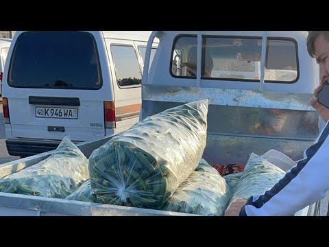 Видео: БОДРИНГ ОШИБ КЕТДИ ШУДРИНГ 10.000 сўм ками бор