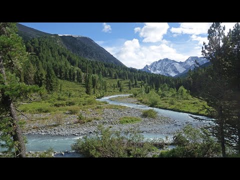 Видео: Одиночный поход на озеро Кыргыз. Горный Алтай.