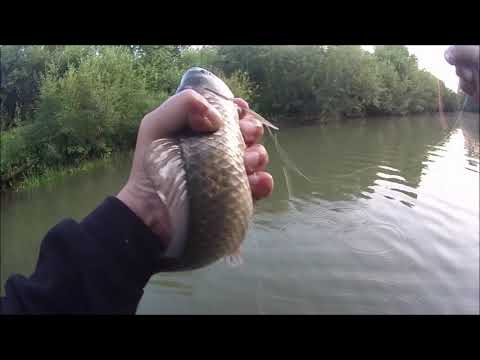 Видео: ТЕНКАРА, КЕЙРЮ в забродку по малой реке.