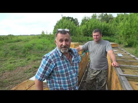 Видео: Кочёвка 25  и снова сдрассьте