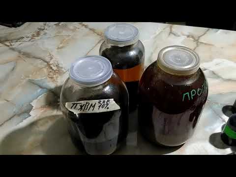 Видео: прополісна вода без нагріву