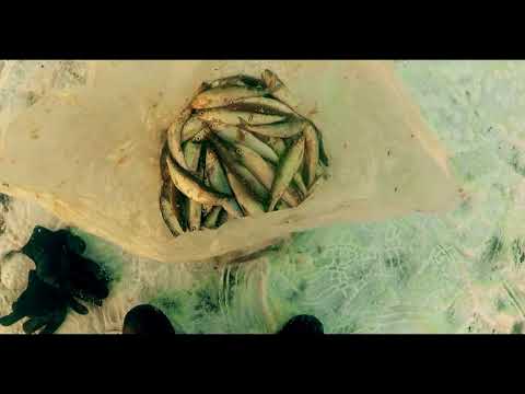 Видео: НОЧЬ НА ЛЬДУ, ЛОВЛЯ РИПУСА - озеро ЩУЧЬЕ, ГОРОД ЩУЧИНСК