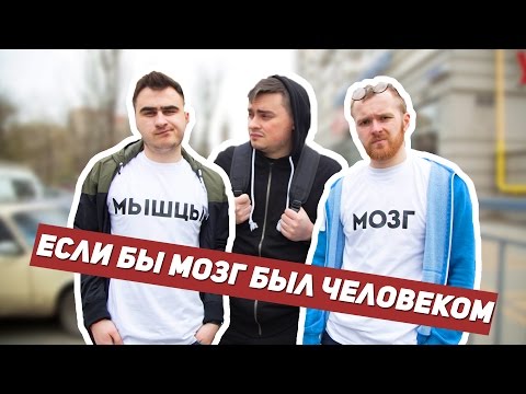 Видео: ЕСЛИ БЫ МОЗГ БЫЛ ЧЕЛОВЕКОМ