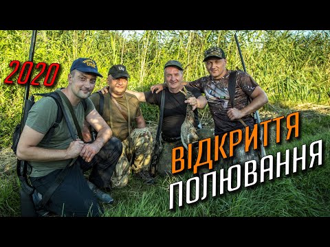 Видео: Неймовірне відкриття полювання на пернатих 2020 та ранішній переліт!