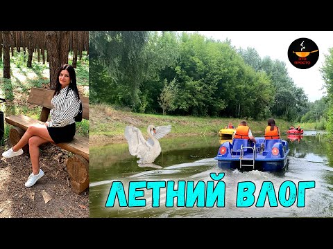 Видео: ЛЕТНИЙ ВЛОГ ☀️ Пикник, говорящий ворон + покупки для кухни | Это просто
