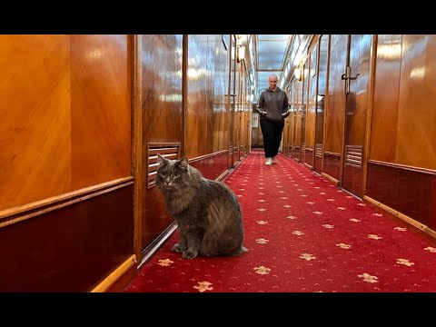 Видео: Теплоход СССР по Енисею. Часть 1