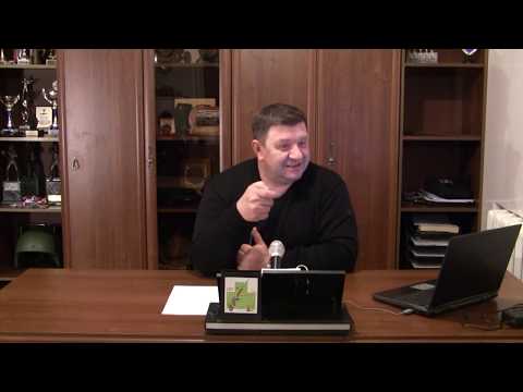 Видео: Петров А.И. 2010 - О русском оружии (звук улучшен)