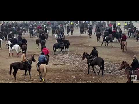 Видео: Рахимберди полвон Тошкентда 2-та тойга ташлади ба пеш