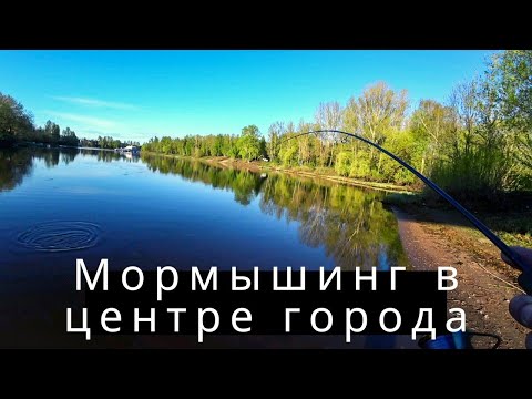 Видео: Мормышинг. Ловля рыбы в центре Ярославля.