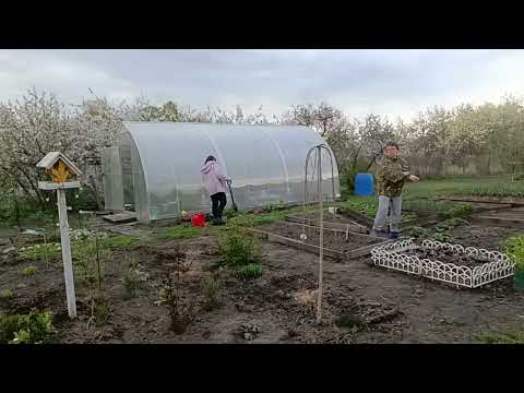 Видео: Наш огород в начале мая.