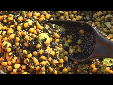 Видео: Закормил кукурузой, и сазан попёр, 24 часа на рыбалке, хороший клёв рыбы, природа и отдых