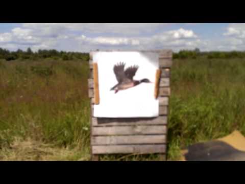 Видео: Охотничье ружье CZ MALLARD пристрелка и подбор чоков
