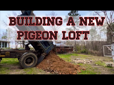 Видео: Строительство нового голубятни для гоночных голубятников (часть 1)