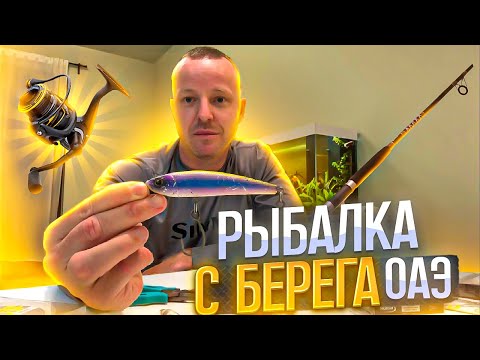 Видео: Спиннинг , Катушка , Воблер для Рыбалки с Берега В Эмиратах