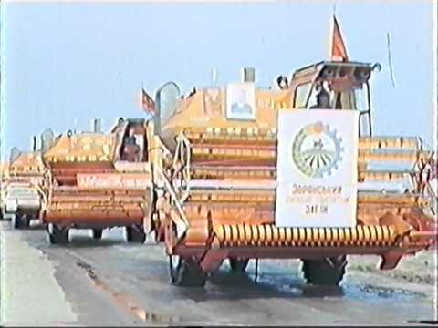 Видео: Зоря