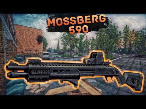 Видео: MOSSBERG 590A1 | БЕРЕГ | ТАРКОВ |  ESCAPE FROM TARKOV [4K]