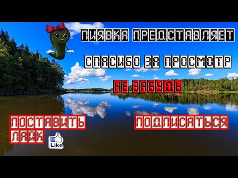 Видео: АМЕРИКАНСКИЙ СОМИК #MyFishingworld