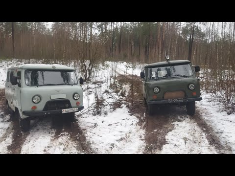 Видео: Буханки на выгуле: Пикник, баня, зимние купания!