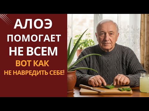 Видео: АЛОЭ — польза или вред? Всё решает один нюанс!