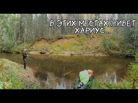 Видео: Вернулся на таёжную речку за ХАРИУСОМ/Два дня сплава/Трудовая рыбалка. Fishing for grayling.