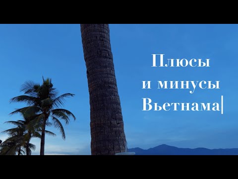 Видео: Плюсы и минусы Вьетнама / Дананг 2023