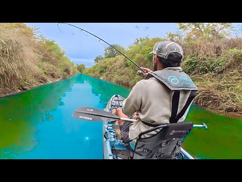 Видео: В этой СОВЕРШЕННО СЕКРЕТНОЙ придорожной канаве скрывался БЕЗУМНЫЙ МОНСТР!!! -- (САМЫЙ БОЛЬШОЙ за ...