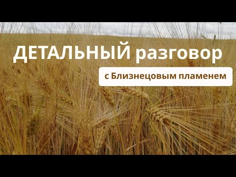 Видео: ДЕТАЛЬНЫЙ разговор | Близнецовые пламена