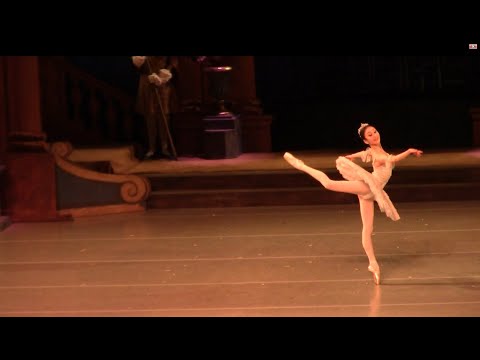 Видео: М.Нагахиса (M.Nagahisa), Аврора (Princess Aurora), 23-4-23