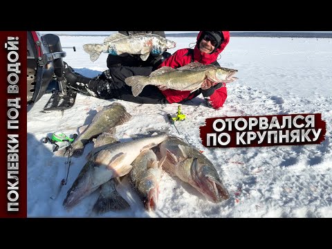 Видео: С одной лунки КУЧА ОГРОМНЫХ СУДАКОВ / КАК КЛЮЮТ ГИГАНТЫ ПОД ВОДОЙ!